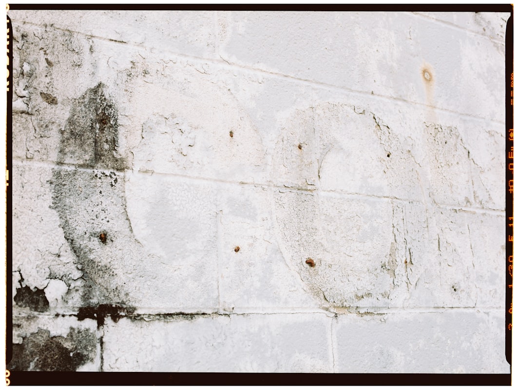 Mold Remediation service in Eagan, MN