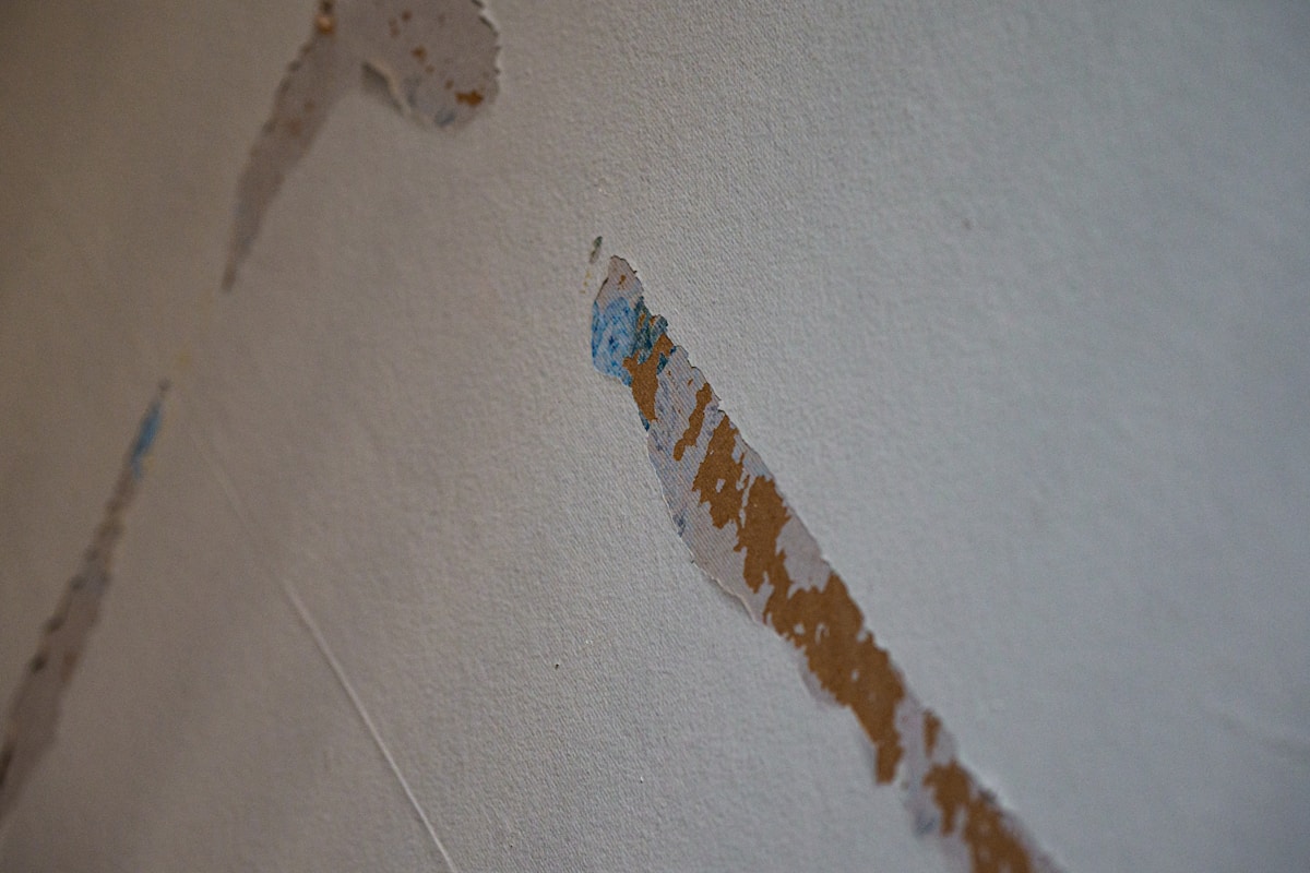 Flood Cleanup service in Eagan, MN